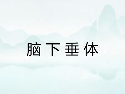 脑下垂体