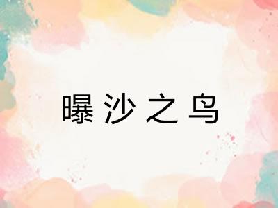 曝沙之鸟