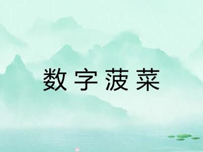 数字菠菜