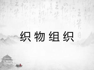 织物组织