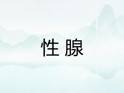 性腺