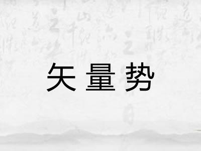 矢量势
