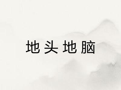 地头地脑 地头地脑