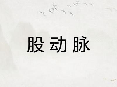 股动脉