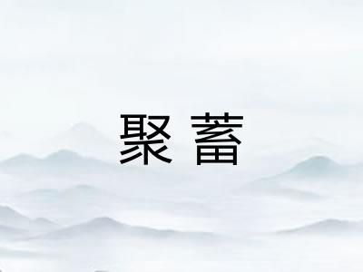 聚蓄