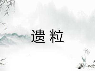 遗粒
