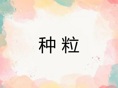 种粒