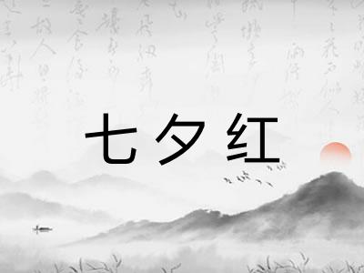七夕红