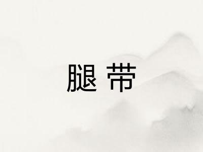 腿带 腿带