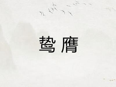 鸷膺