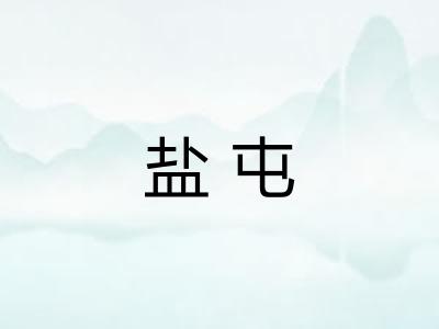 盐屯