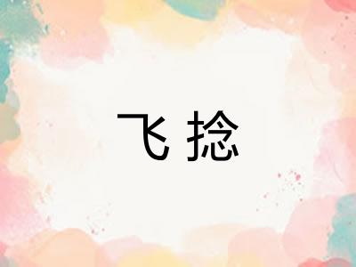飞捻 飞捻