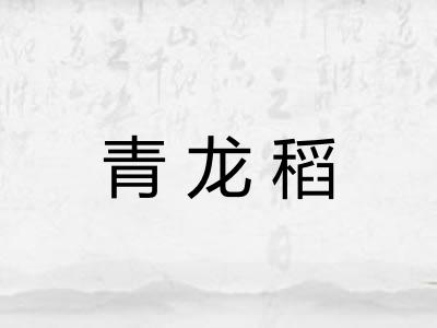 青龙稻 青龙稻