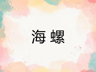 海螺
