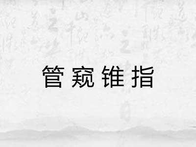 管窥锥指