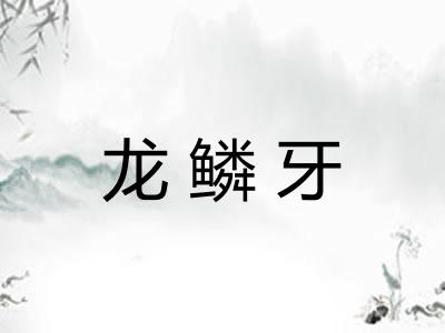 龙鳞牙 龙鳞牙