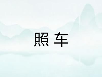 照车 照车