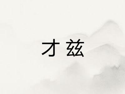 才兹