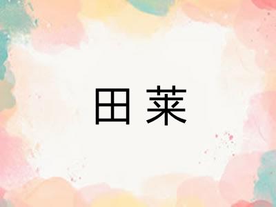 田莱