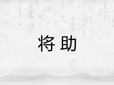 将助