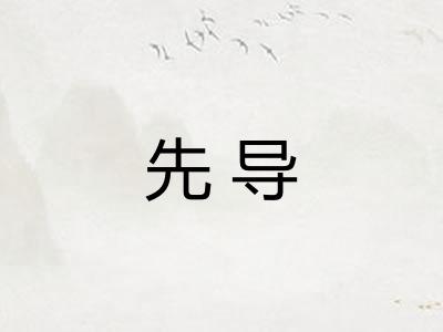 先导 先导