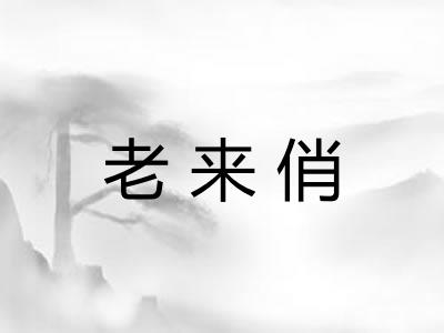 老来俏