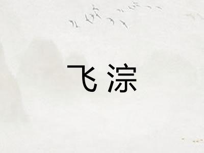 飞淙