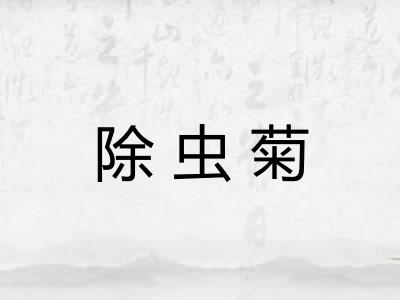 除虫菊