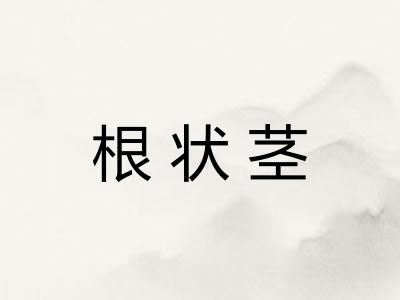 根状茎