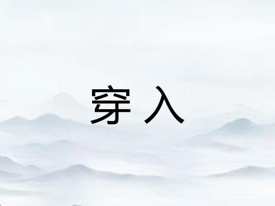 穿入 穿入