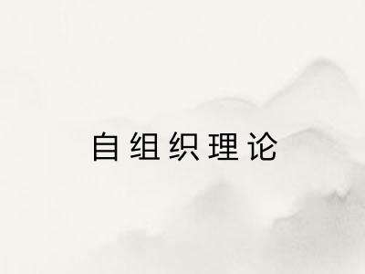 自组织理论