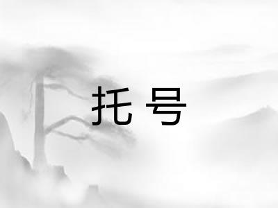 托号