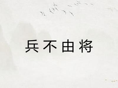 兵不由将