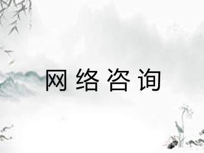 网络咨询