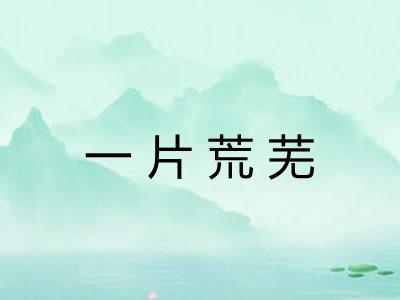 一片荒芜