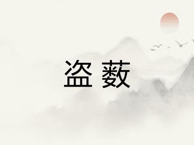 盗薮