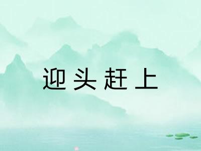 迎头赶上