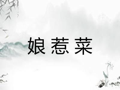娘惹菜 娘惹菜