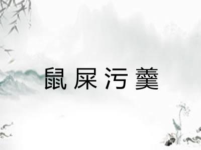 鼠屎污羹