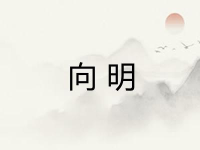 向明 向明