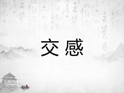 交感