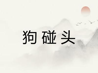 狗碰头