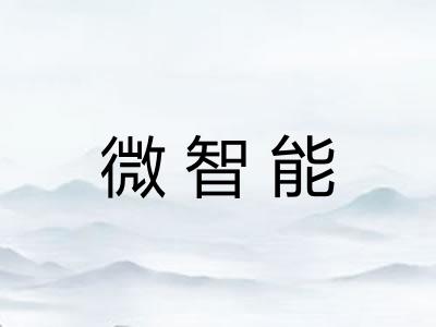 微智能 微智能