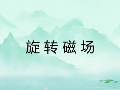 旋转磁场 旋转磁场
