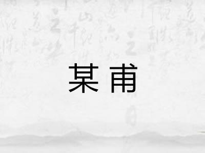 某甫