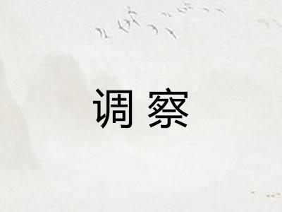 调察