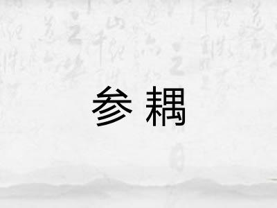 参耦