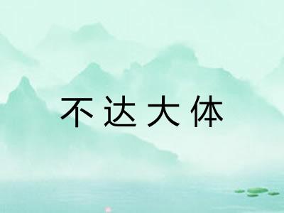 不达大体