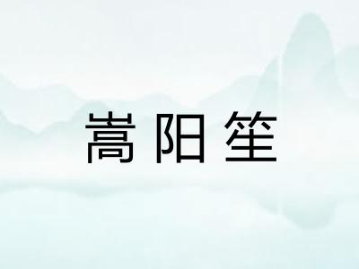 嵩阳笙