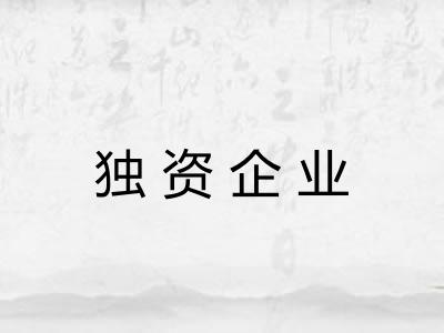 独资企业